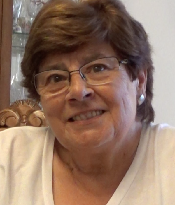 Arri, arri, cavallet