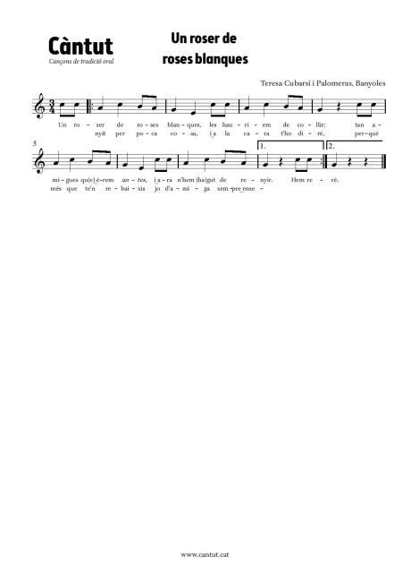 Un roser de roses blanques